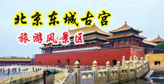 欧美性爱最新地址中国北京-东城古宫旅游风景区